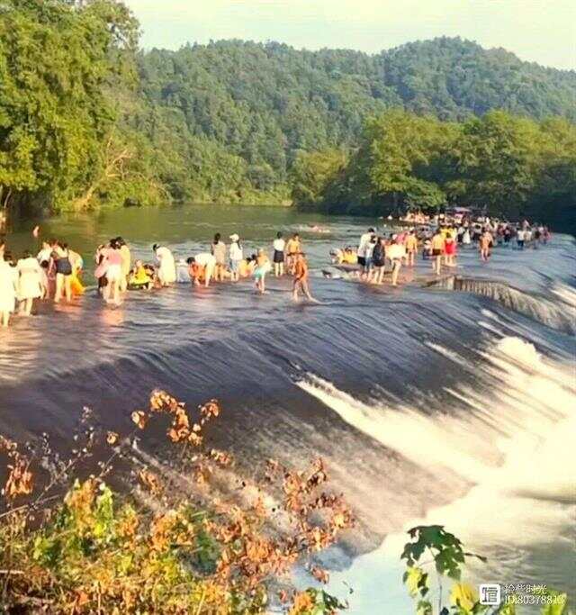 槎滩陂·坝上戏水